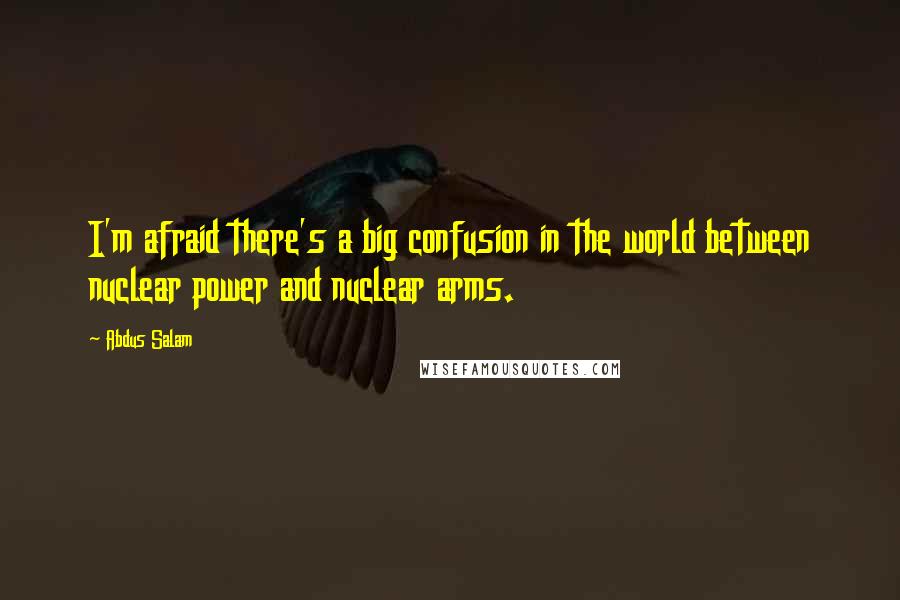 Abdus Salam Quotes: I'm afraid there's a big confusion in the world between nuclear power and nuclear arms.