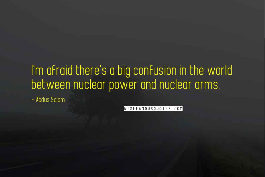 Abdus Salam Quotes: I'm afraid there's a big confusion in the world between nuclear power and nuclear arms.