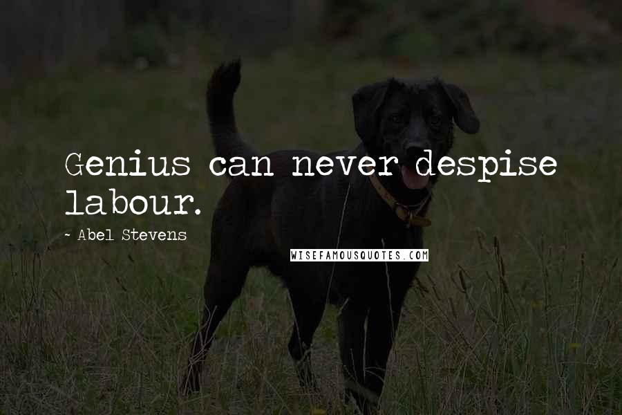 Abel Stevens Quotes: Genius can never despise labour.