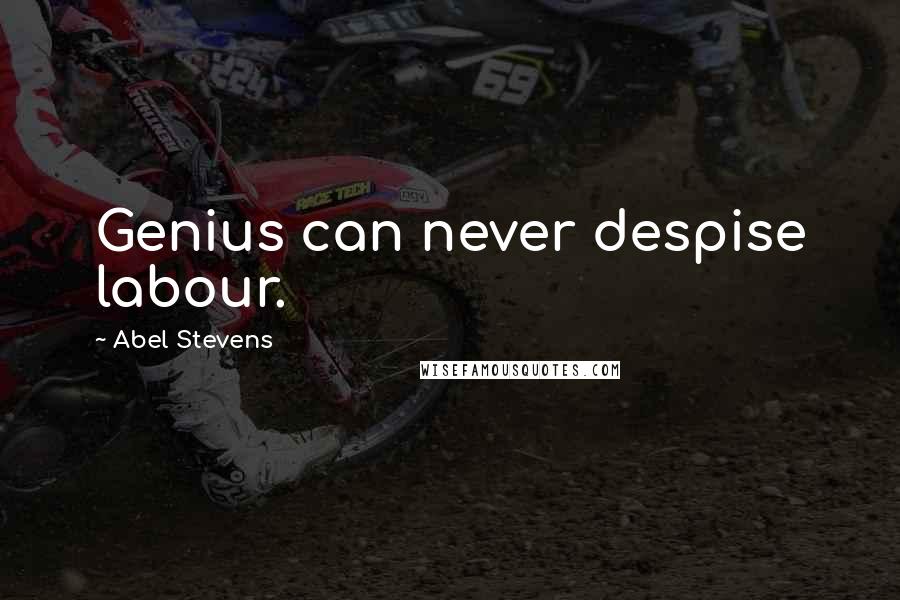 Abel Stevens Quotes: Genius can never despise labour.