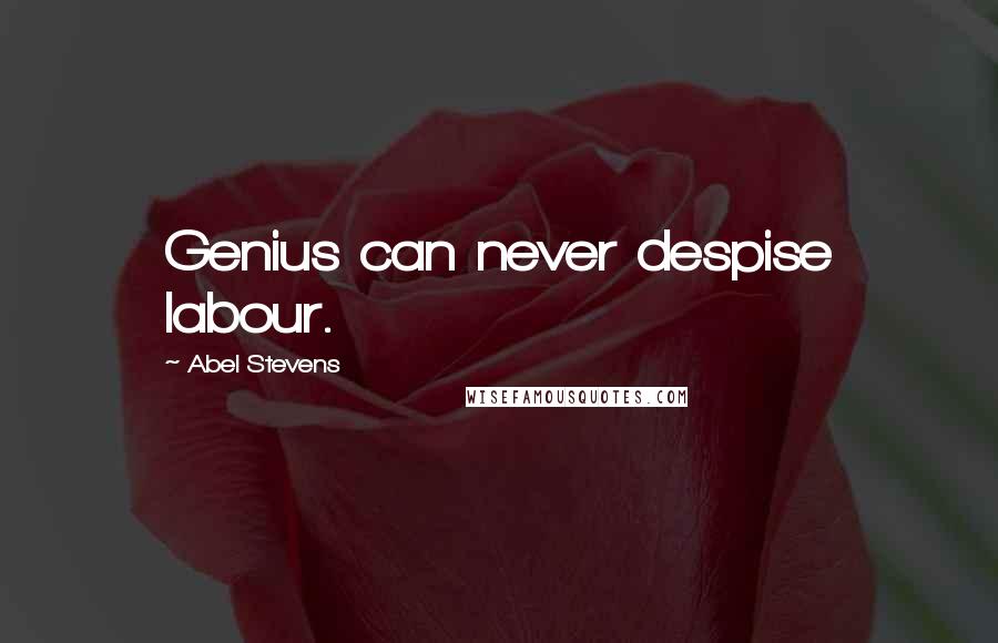 Abel Stevens Quotes: Genius can never despise labour.