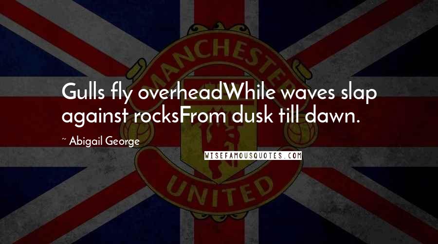 Abigail George Quotes: Gulls fly overheadWhile waves slap against rocksFrom dusk till dawn.