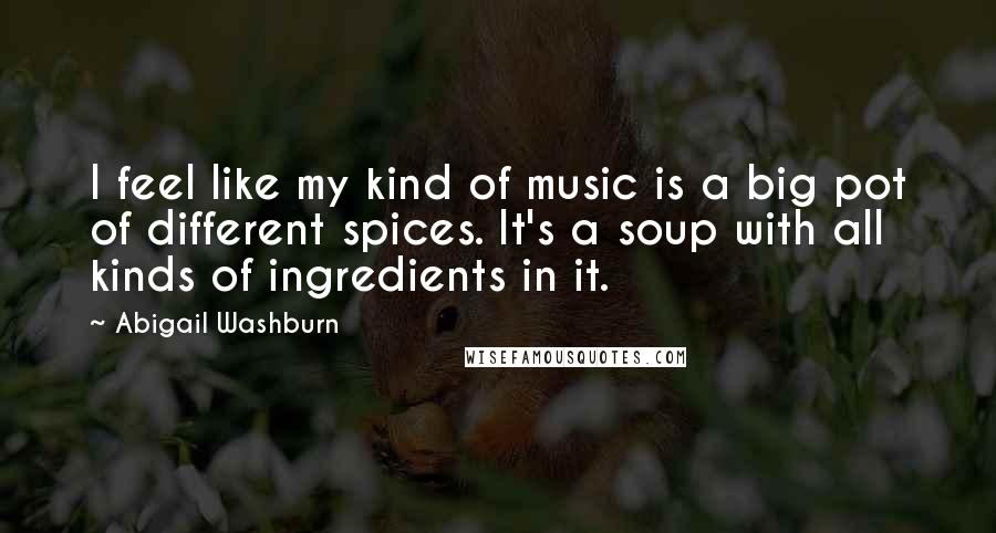 Abigail Washburn Quotes: I feel like my kind of music is a big pot of different spices. It's a soup with all kinds of ingredients in it.