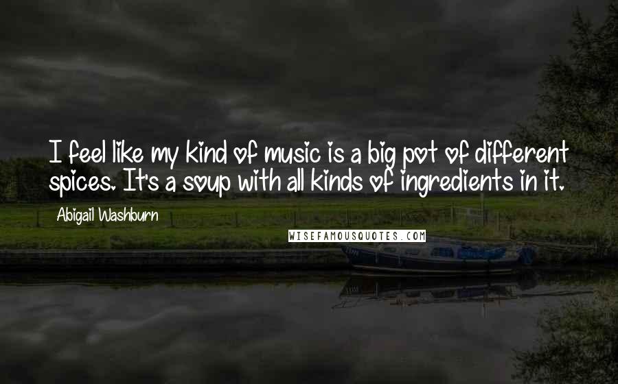 Abigail Washburn Quotes: I feel like my kind of music is a big pot of different spices. It's a soup with all kinds of ingredients in it.