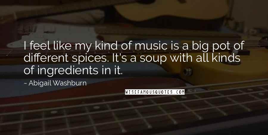 Abigail Washburn Quotes: I feel like my kind of music is a big pot of different spices. It's a soup with all kinds of ingredients in it.