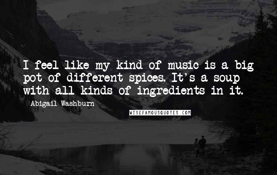 Abigail Washburn Quotes: I feel like my kind of music is a big pot of different spices. It's a soup with all kinds of ingredients in it.