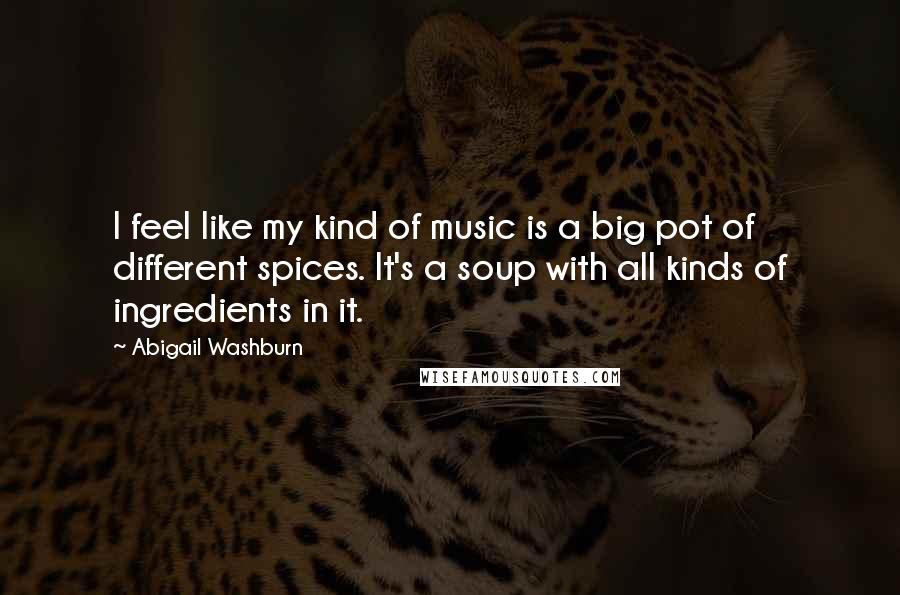 Abigail Washburn Quotes: I feel like my kind of music is a big pot of different spices. It's a soup with all kinds of ingredients in it.