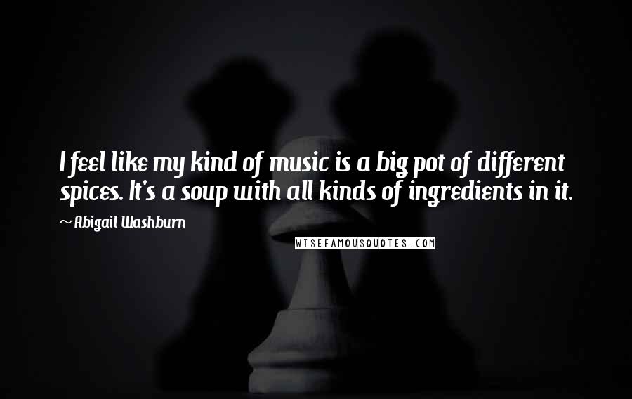 Abigail Washburn Quotes: I feel like my kind of music is a big pot of different spices. It's a soup with all kinds of ingredients in it.