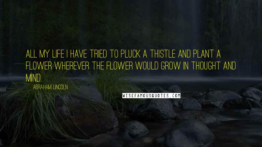 Abraham Lincoln Quotes: All my life I have tried to pluck a thistle and plant a flower wherever the flower would grow in thought and mind.