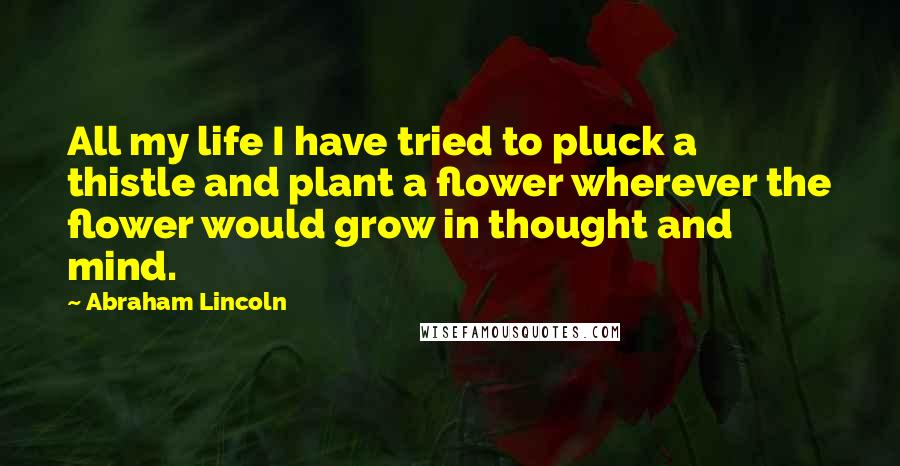 Abraham Lincoln Quotes: All my life I have tried to pluck a thistle and plant a flower wherever the flower would grow in thought and mind.