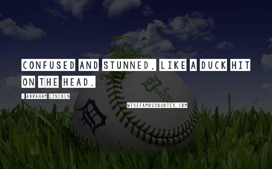 Abraham Lincoln Quotes: Confused and Stunned, like a duck hit on the head.