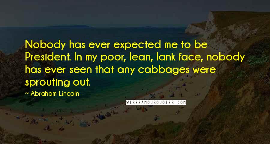 Abraham Lincoln Quotes: Nobody has ever expected me to be President. In my poor, lean, lank face, nobody has ever seen that any cabbages were sprouting out.