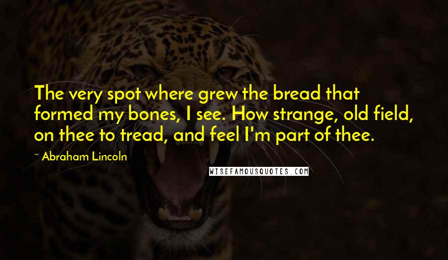 Abraham Lincoln Quotes: The very spot where grew the bread that formed my bones, I see. How strange, old field, on thee to tread, and feel I'm part of thee.