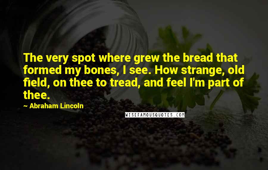 Abraham Lincoln Quotes: The very spot where grew the bread that formed my bones, I see. How strange, old field, on thee to tread, and feel I'm part of thee.