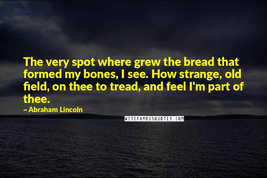 Abraham Lincoln Quotes: The very spot where grew the bread that formed my bones, I see. How strange, old field, on thee to tread, and feel I'm part of thee.
