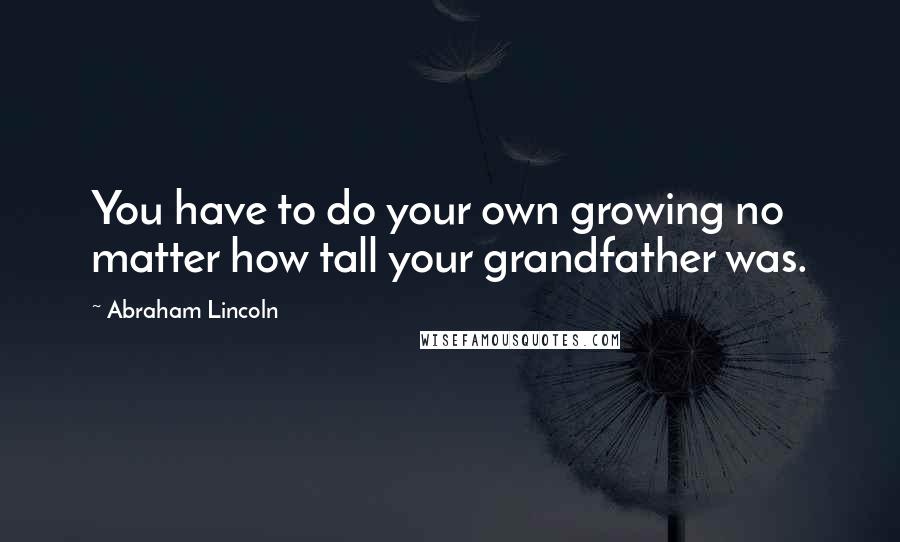 Abraham Lincoln Quotes: You have to do your own growing no matter how tall your grandfather was.