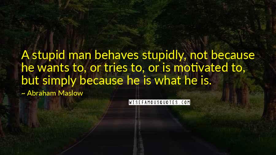 Abraham Maslow Quotes: A stupid man behaves stupidly, not because he wants to, or tries to, or is motivated to, but simply because he is what he is.