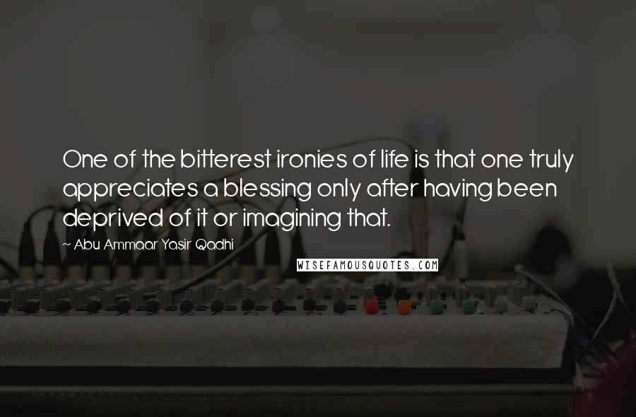 Abu Ammaar Yasir Qadhi Quotes: One of the bitterest ironies of life is that one truly appreciates a blessing only after having been deprived of it or imagining that.