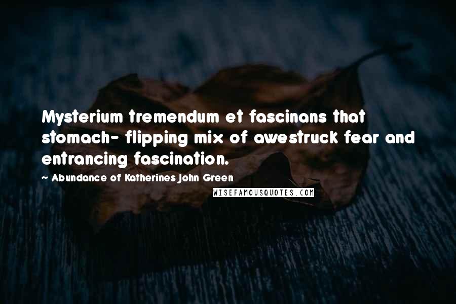 Abundance Of Katherines John Green Quotes: Mysterium tremendum et fascinans that stomach- flipping mix of awestruck fear and entrancing fascination.
