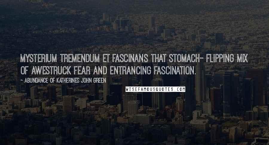 Abundance Of Katherines John Green Quotes: Mysterium tremendum et fascinans that stomach- flipping mix of awestruck fear and entrancing fascination.