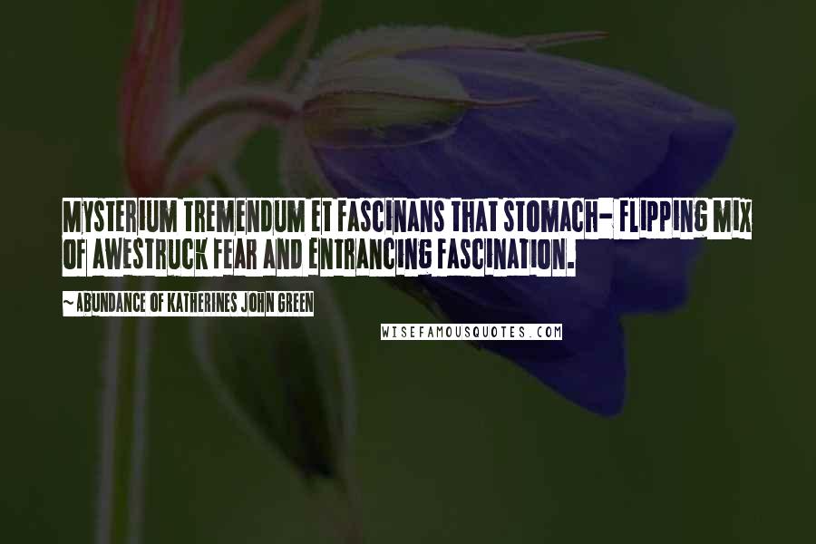 Abundance Of Katherines John Green Quotes: Mysterium tremendum et fascinans that stomach- flipping mix of awestruck fear and entrancing fascination.