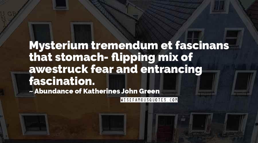 Abundance Of Katherines John Green Quotes: Mysterium tremendum et fascinans that stomach- flipping mix of awestruck fear and entrancing fascination.