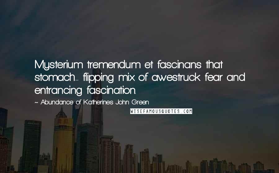 Abundance Of Katherines John Green Quotes: Mysterium tremendum et fascinans that stomach- flipping mix of awestruck fear and entrancing fascination.