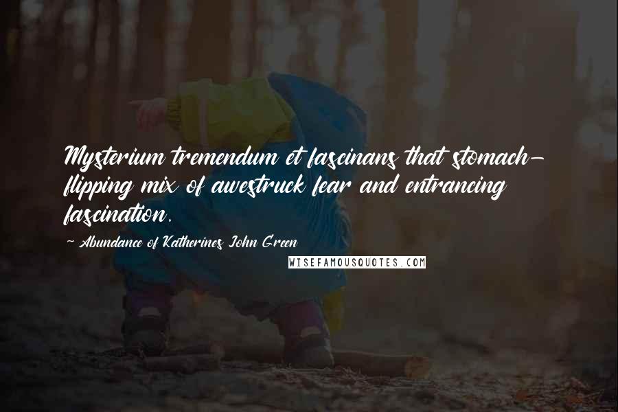 Abundance Of Katherines John Green Quotes: Mysterium tremendum et fascinans that stomach- flipping mix of awestruck fear and entrancing fascination.