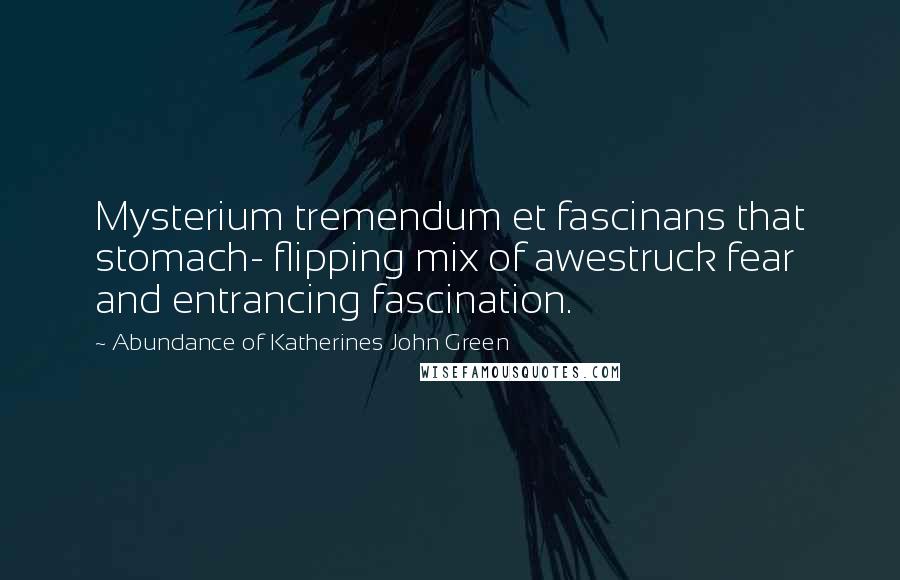 Abundance Of Katherines John Green Quotes: Mysterium tremendum et fascinans that stomach- flipping mix of awestruck fear and entrancing fascination.