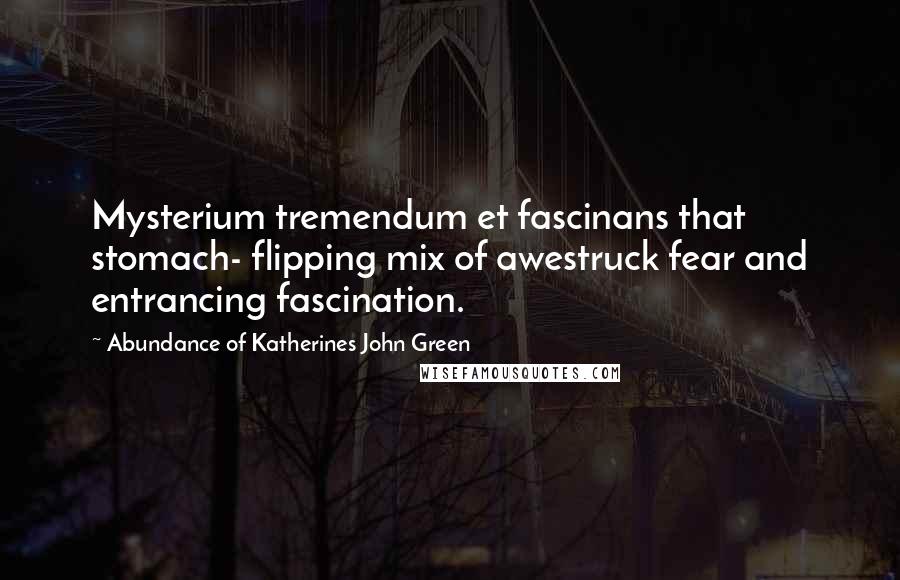 Abundance Of Katherines John Green Quotes: Mysterium tremendum et fascinans that stomach- flipping mix of awestruck fear and entrancing fascination.