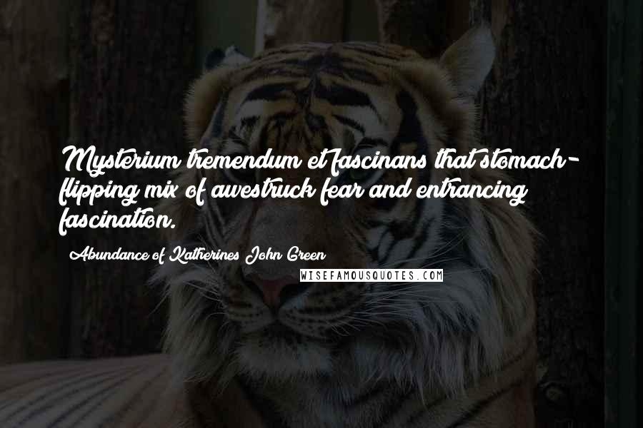 Abundance Of Katherines John Green Quotes: Mysterium tremendum et fascinans that stomach- flipping mix of awestruck fear and entrancing fascination.