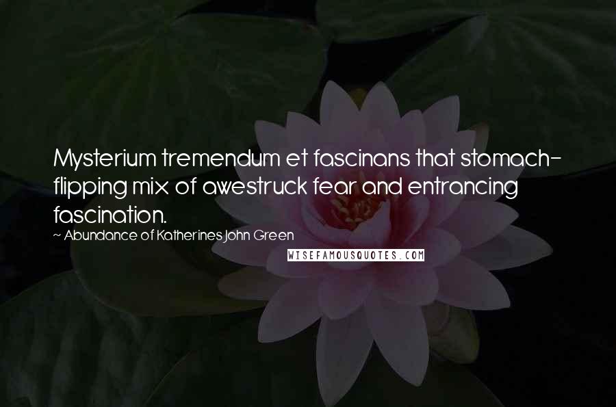 Abundance Of Katherines John Green Quotes: Mysterium tremendum et fascinans that stomach- flipping mix of awestruck fear and entrancing fascination.