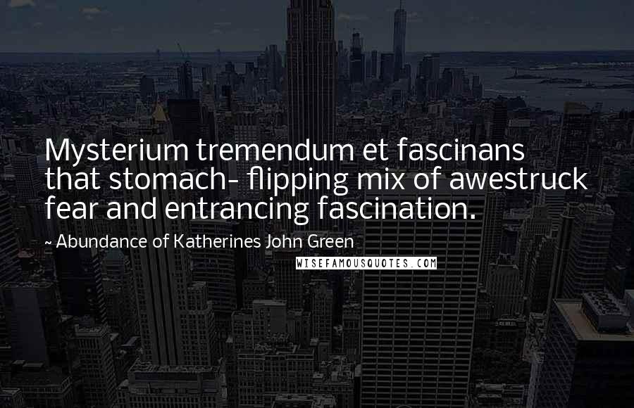 Abundance Of Katherines John Green Quotes: Mysterium tremendum et fascinans that stomach- flipping mix of awestruck fear and entrancing fascination.