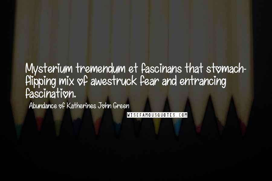 Abundance Of Katherines John Green Quotes: Mysterium tremendum et fascinans that stomach- flipping mix of awestruck fear and entrancing fascination.