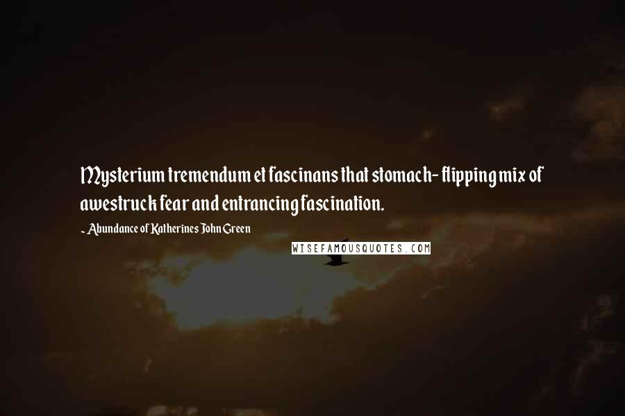 Abundance Of Katherines John Green Quotes: Mysterium tremendum et fascinans that stomach- flipping mix of awestruck fear and entrancing fascination.