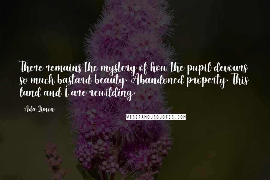 Ada Limon Quotes: There remains the mystery of how the pupil devours so much bastard beauty. Abandoned property. This land and I are rewilding.