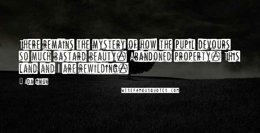 Ada Limon Quotes: There remains the mystery of how the pupil devours so much bastard beauty. Abandoned property. This land and I are rewilding.