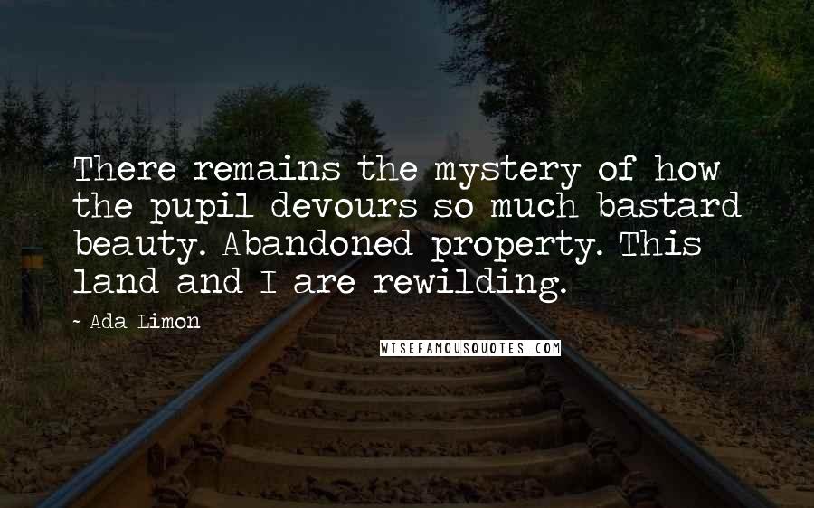 Ada Limon Quotes: There remains the mystery of how the pupil devours so much bastard beauty. Abandoned property. This land and I are rewilding.