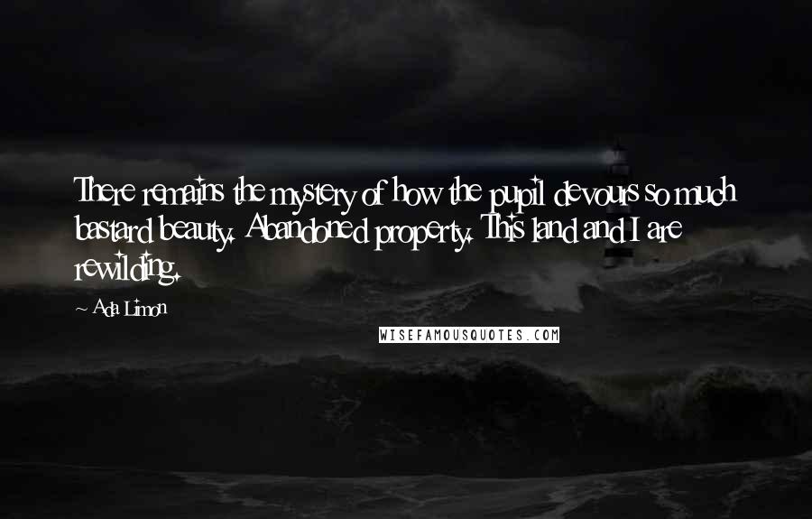 Ada Limon Quotes: There remains the mystery of how the pupil devours so much bastard beauty. Abandoned property. This land and I are rewilding.