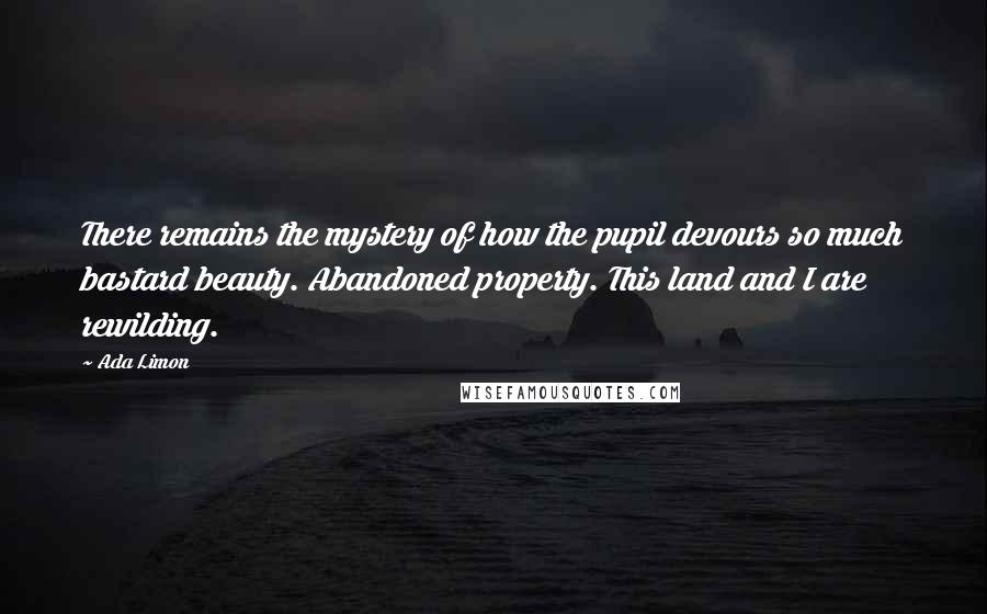 Ada Limon Quotes: There remains the mystery of how the pupil devours so much bastard beauty. Abandoned property. This land and I are rewilding.