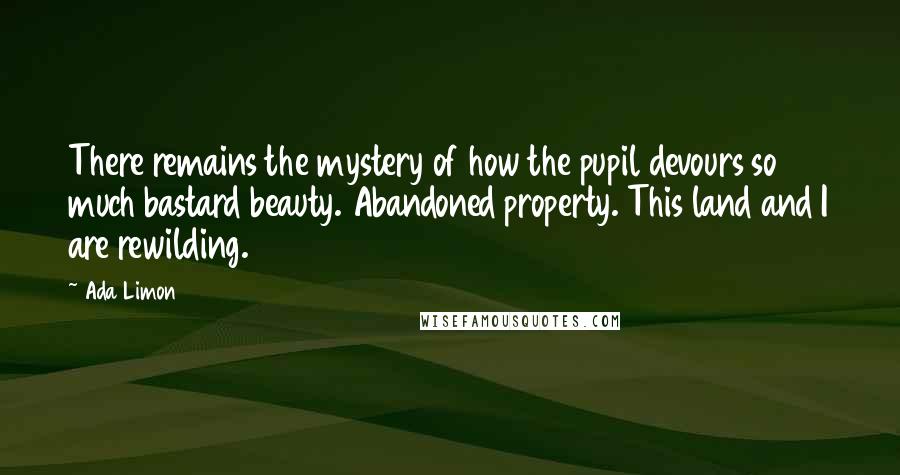 Ada Limon Quotes: There remains the mystery of how the pupil devours so much bastard beauty. Abandoned property. This land and I are rewilding.