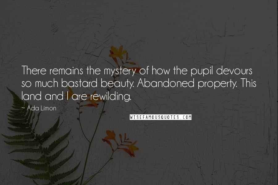 Ada Limon Quotes: There remains the mystery of how the pupil devours so much bastard beauty. Abandoned property. This land and I are rewilding.