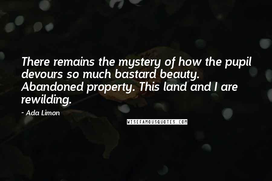 Ada Limon Quotes: There remains the mystery of how the pupil devours so much bastard beauty. Abandoned property. This land and I are rewilding.