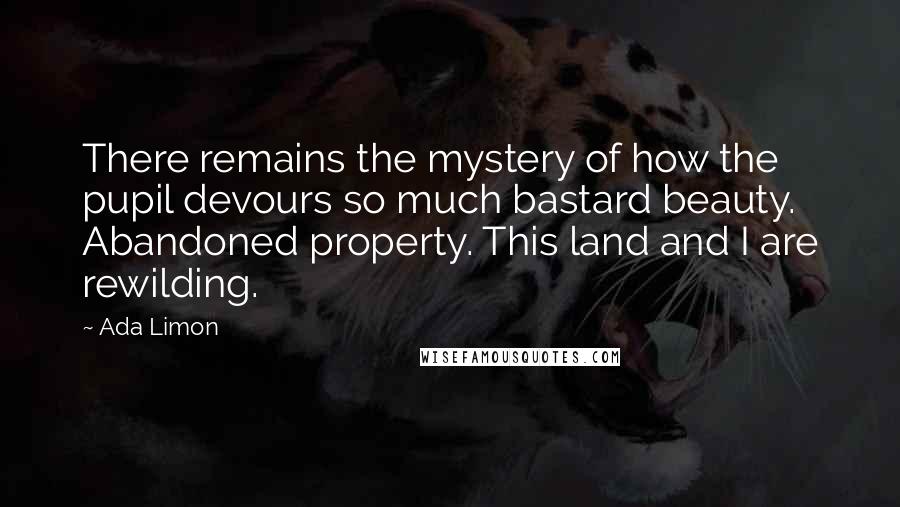 Ada Limon Quotes: There remains the mystery of how the pupil devours so much bastard beauty. Abandoned property. This land and I are rewilding.