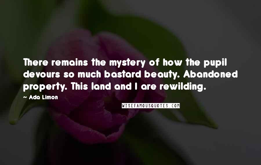 Ada Limon Quotes: There remains the mystery of how the pupil devours so much bastard beauty. Abandoned property. This land and I are rewilding.