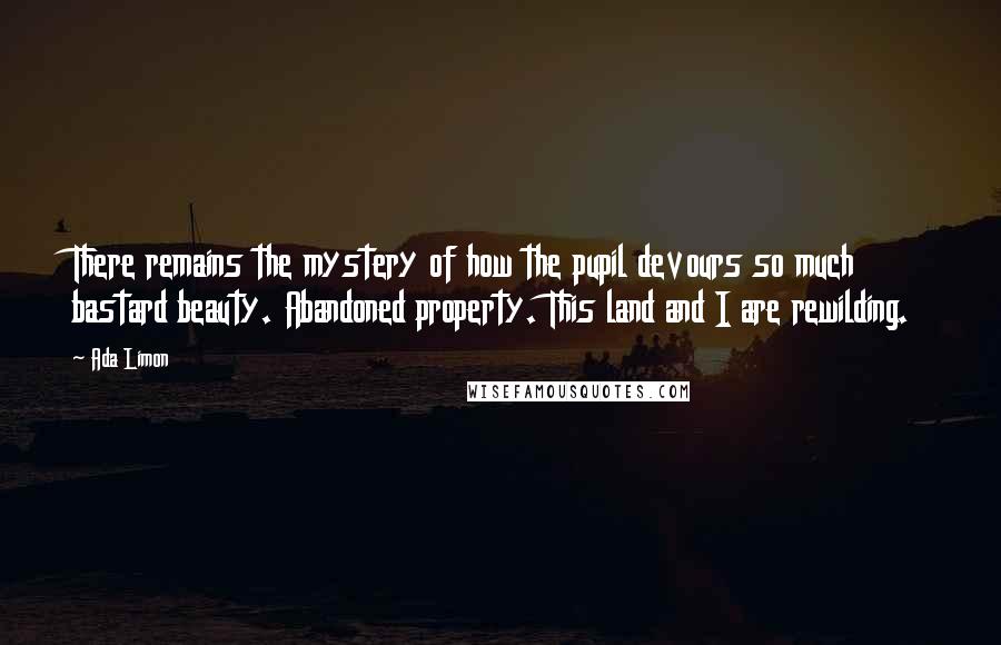 Ada Limon Quotes: There remains the mystery of how the pupil devours so much bastard beauty. Abandoned property. This land and I are rewilding.
