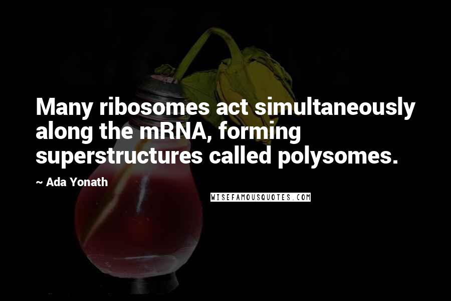 Ada Yonath Quotes: Many ribosomes act simultaneously along the mRNA, forming superstructures called polysomes.