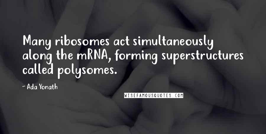 Ada Yonath Quotes: Many ribosomes act simultaneously along the mRNA, forming superstructures called polysomes.