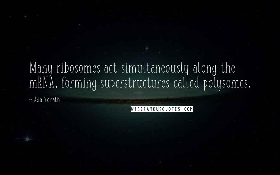 Ada Yonath Quotes: Many ribosomes act simultaneously along the mRNA, forming superstructures called polysomes.