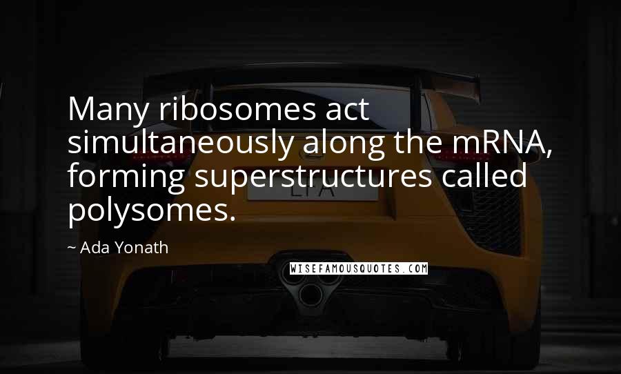 Ada Yonath Quotes: Many ribosomes act simultaneously along the mRNA, forming superstructures called polysomes.